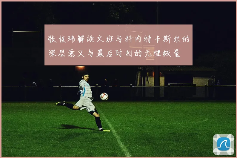 张佳玮解读文班与科内特卡斯尔的深层意义与最后时刻的无理较量