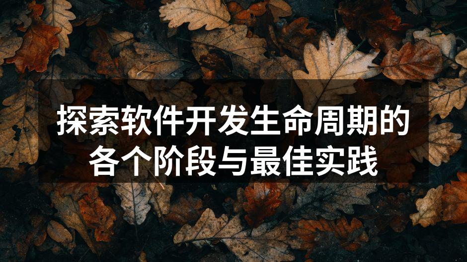 探索软件开发生命周期的各个阶段与最佳实践