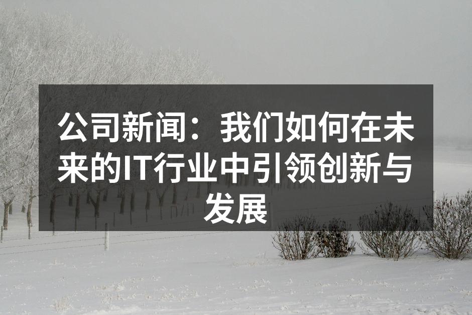 公司新闻:我们如何在未来的IT行业中引领